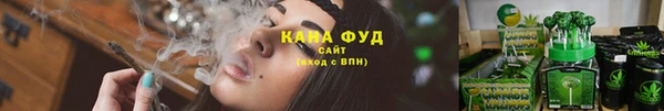 ПСИЛОЦИБИНОВЫЕ ГРИБЫ Алзамай
