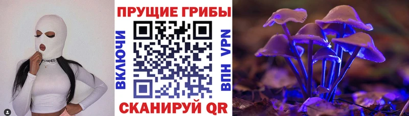OMG зеркало  Арамиль  Галлюциногенные грибы MAGIC MUSHROOMS 